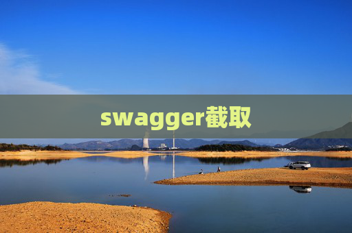 swagger截取